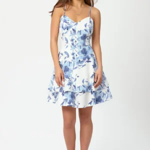 Floral Lace-Up Back Skater Dress